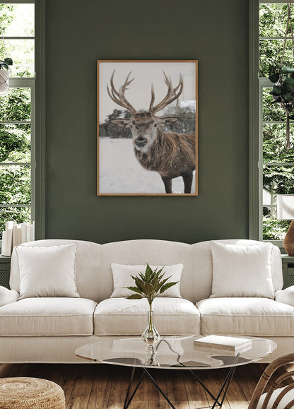 Deer In The Snow Poster