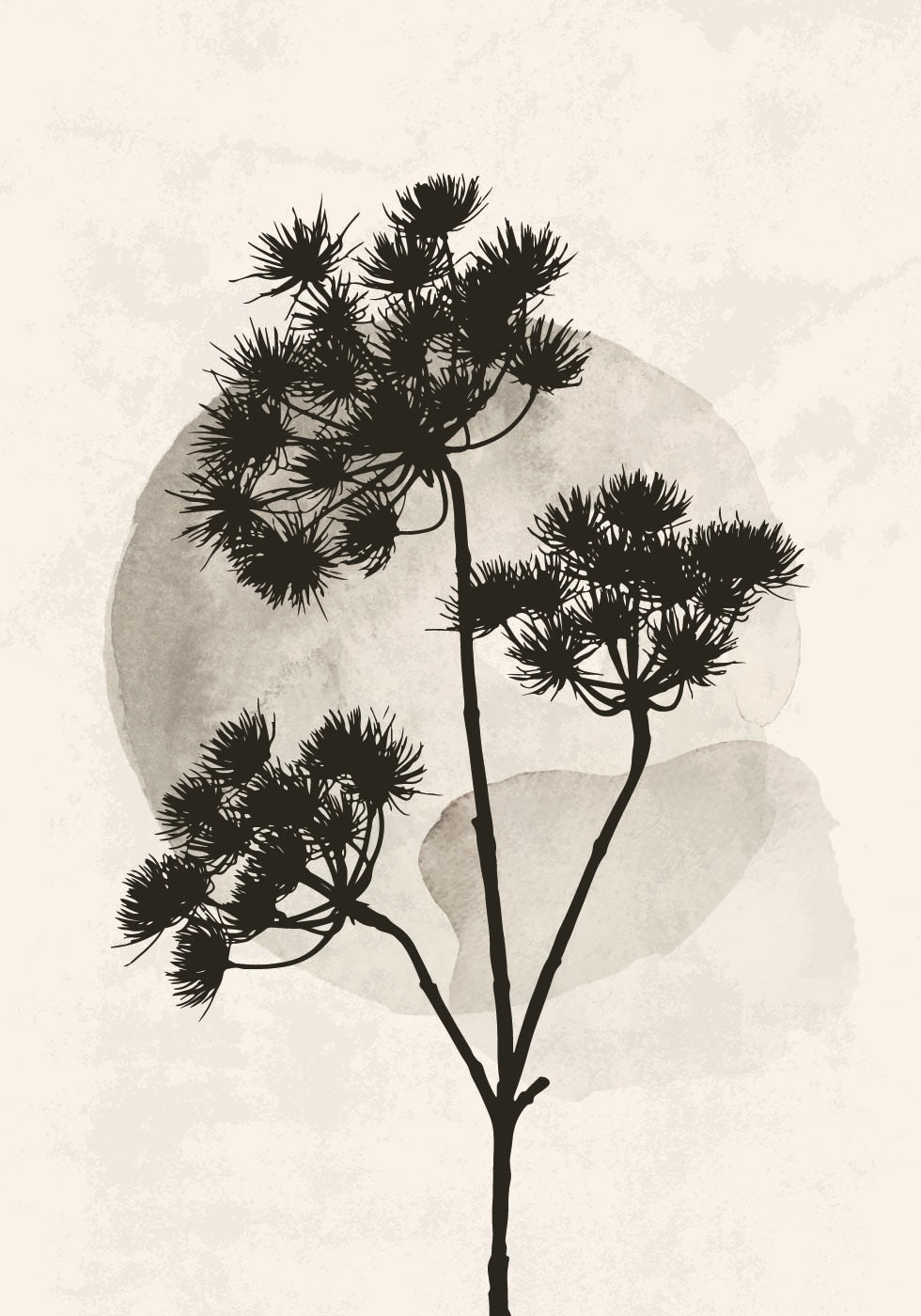 Dried Flower Silhouette Poster