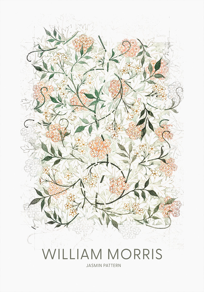 Jasmine Poster