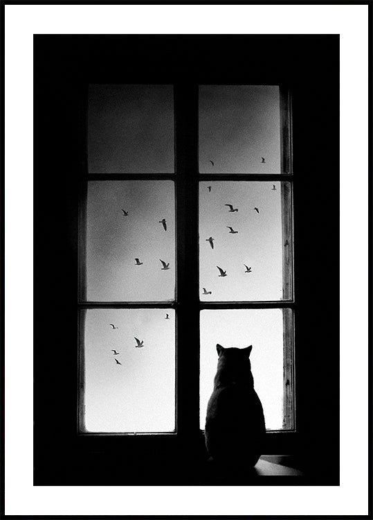 winter is coming Poster