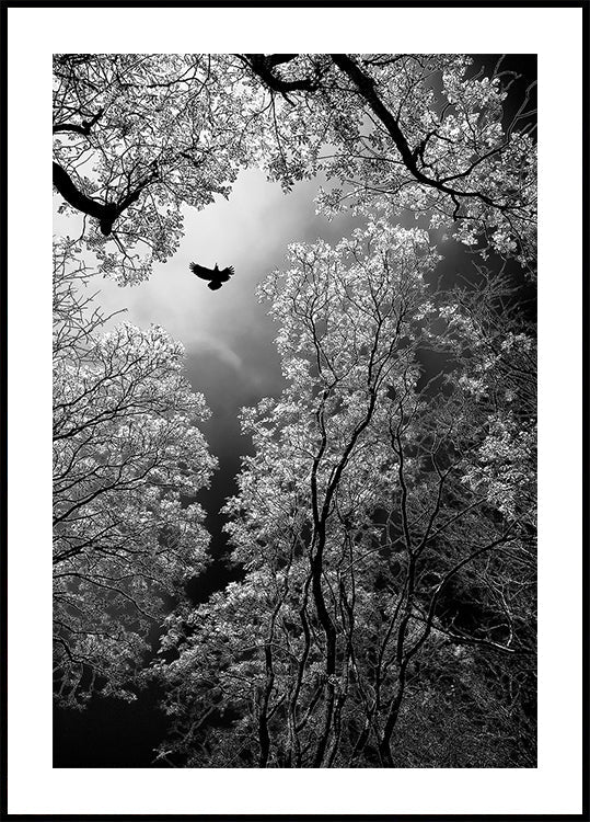 Flight
