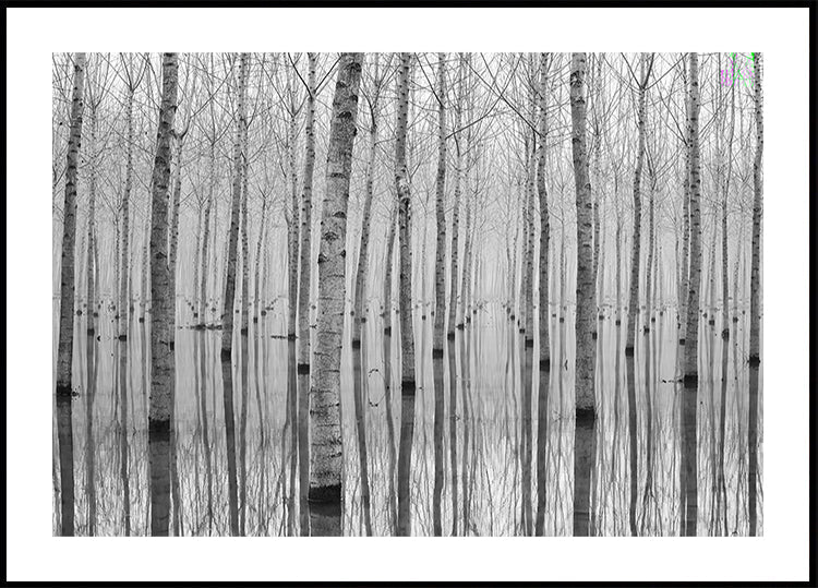 Novembre 2014