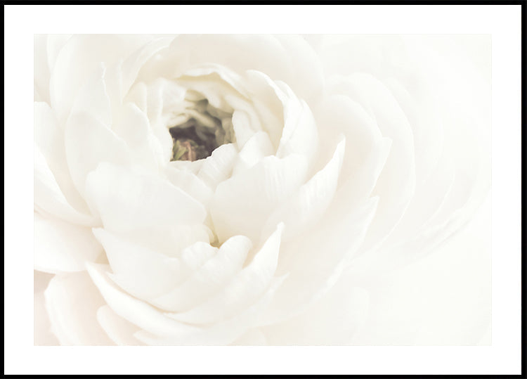 White Flower No.2 Poster