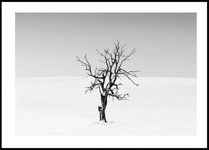 Dry Tree in The Snow Poster