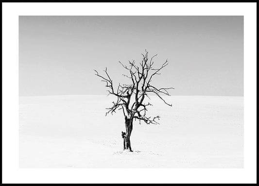 Dry Tree in The Snow Poster