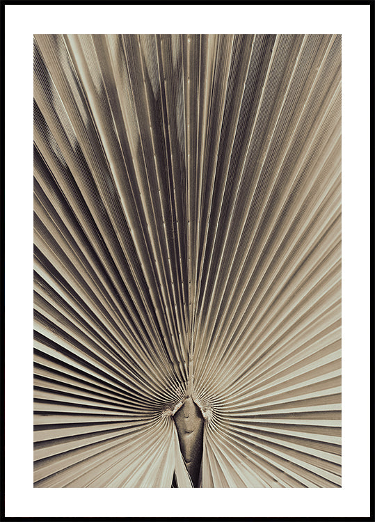 Palmblad_001