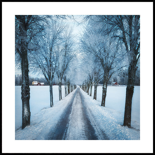 Swedish winter Poster