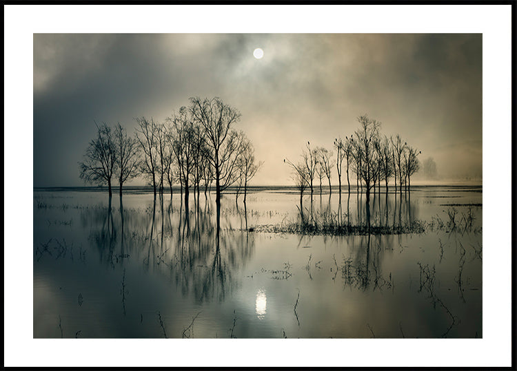 Lake's Secret