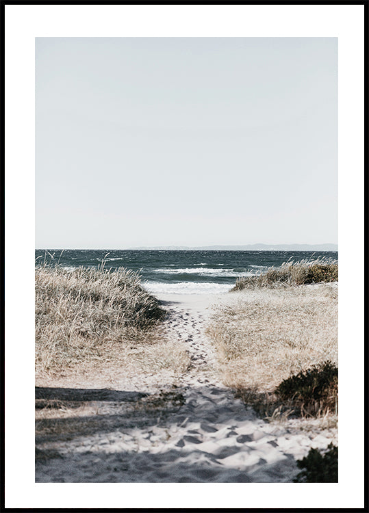 Sandy Path To The Ocean Poster