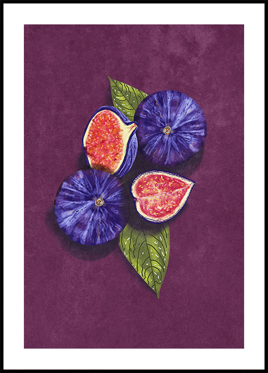 Figs Stil Life