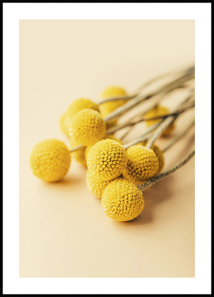 Craspedia Globosa Flowers Poster