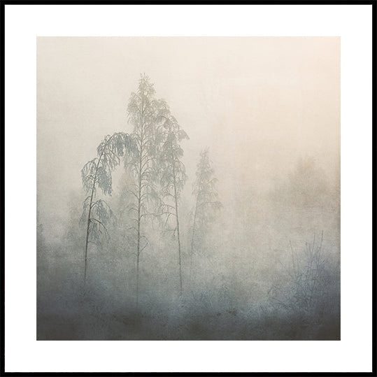 Misty Forest Poster