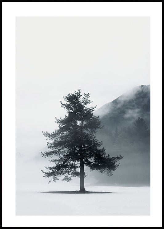 Pine Tree In a Foggy Field Poster