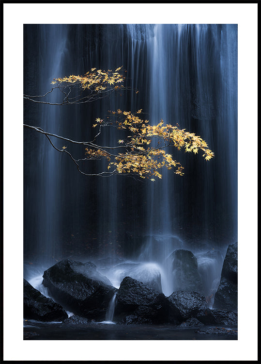 Yellow Autumn