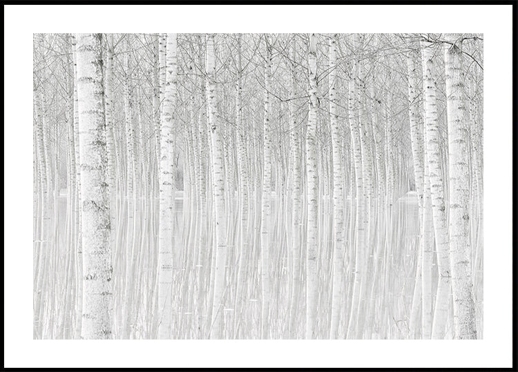 Trees