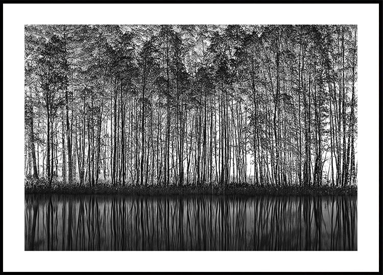Pointillism Nature