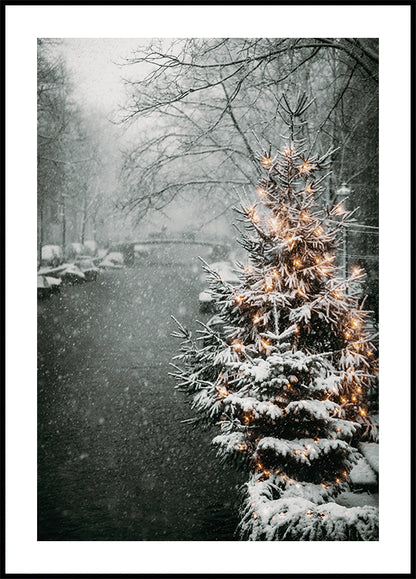 Christmas Tree by Snowy Canal Poster