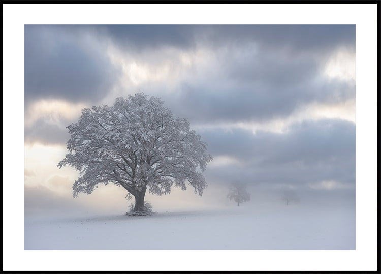 Cold morning Poster