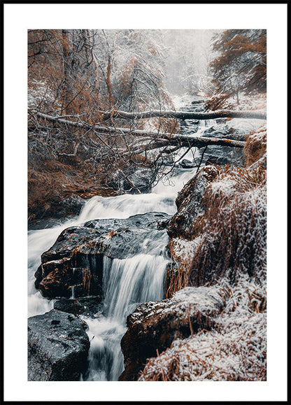 Winter Waterfall In The Forest Poster