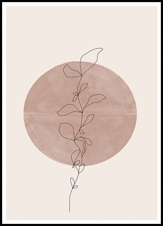 Circle and Vine
