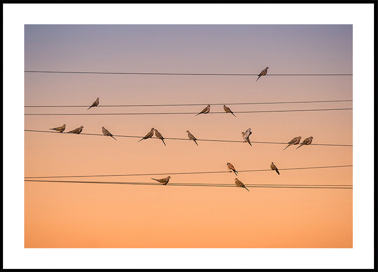 Music of Light