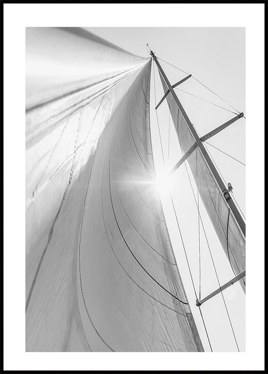 Sail In Sunlight Poster