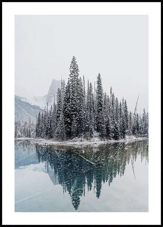 Snowy Trees Near Lake Poster