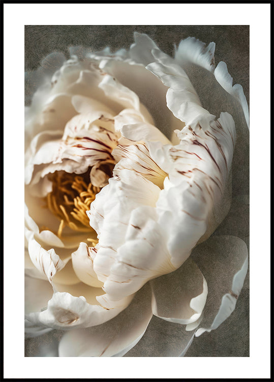 Petals of Serenity