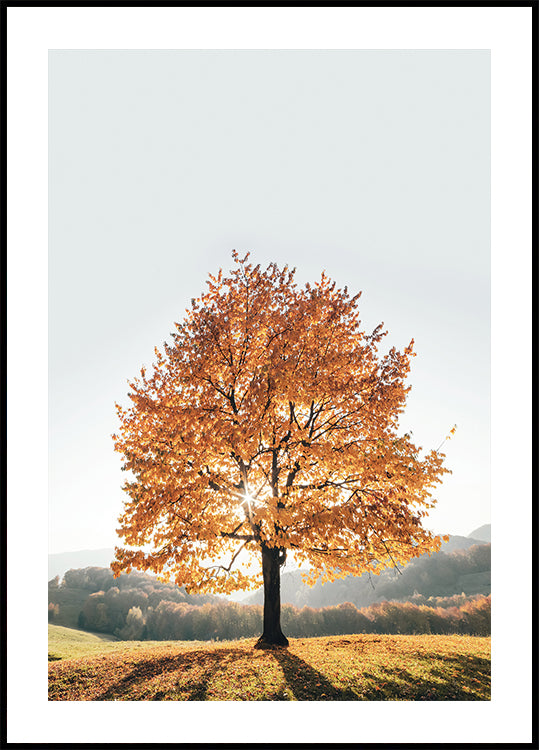 Majestic Autumn Tree Poster