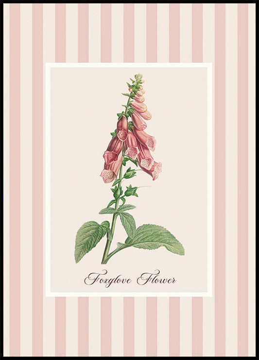 Pink Foxglove Flower Poster