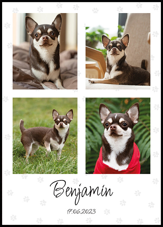Pet Photo Collage Personal Poster