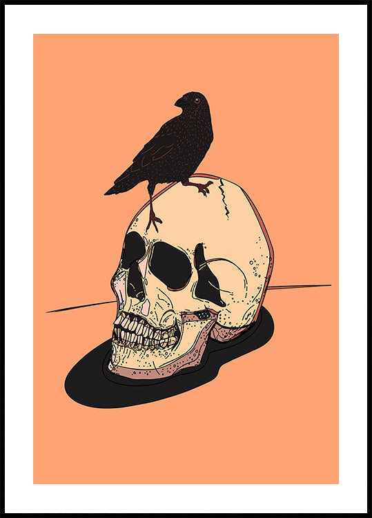Skull And Raven Poster
