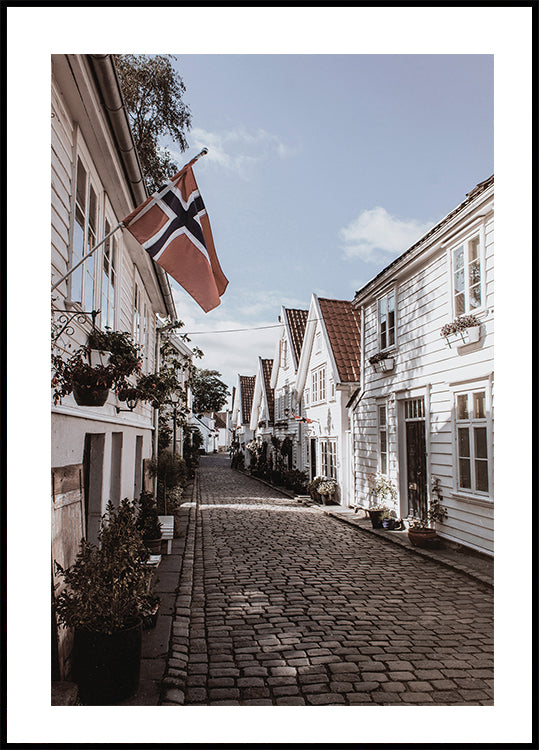 Cozy Street in Norway Poster