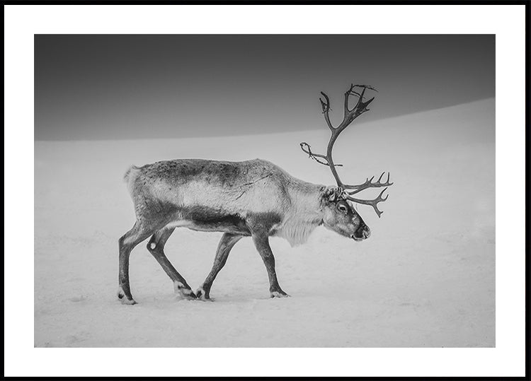 Alone in the Arctic wasteland Poster