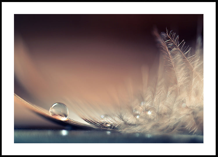 Stories of Drops