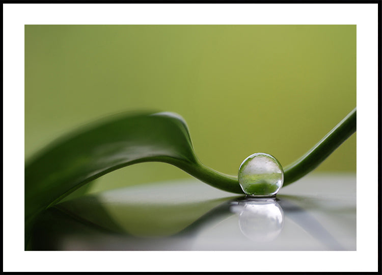 Green harmony
