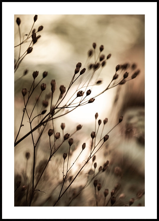Autumn Lights