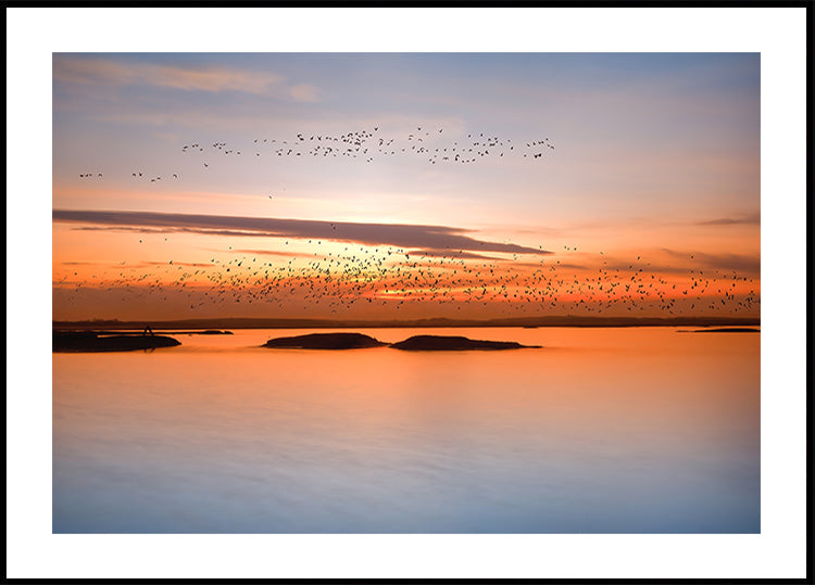 by sunset Poster
