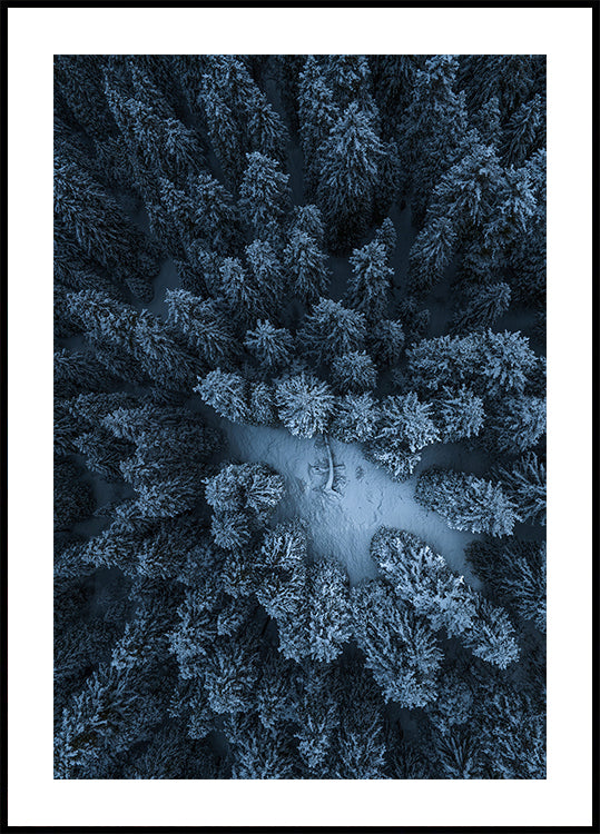 Texture of the forest Poster