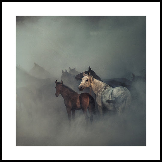 The lost horses Poster