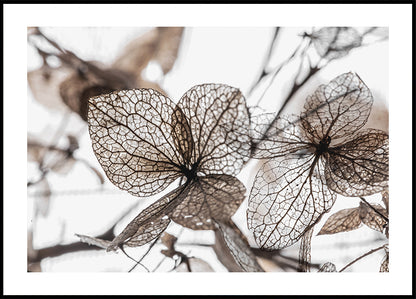 Autumn Dried Leafes №2 Poster