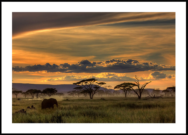 Africa Poster