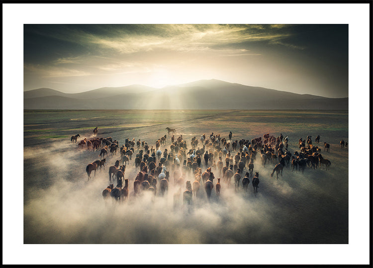 Wild Horses Poster