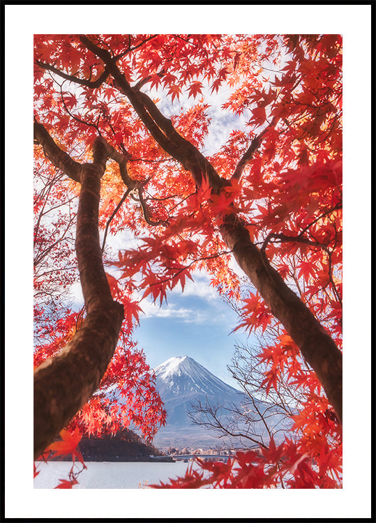 Mt.fuji is in the autumn leaves