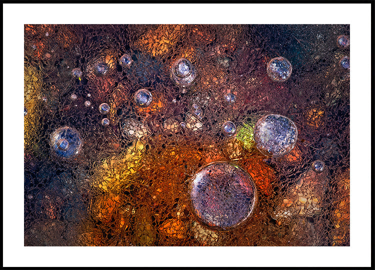 Winter Over Autumn Poster