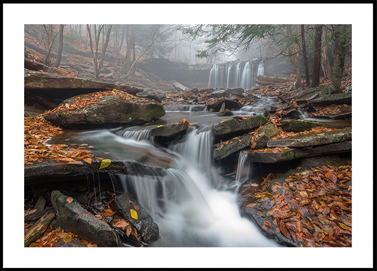 Morning Fog