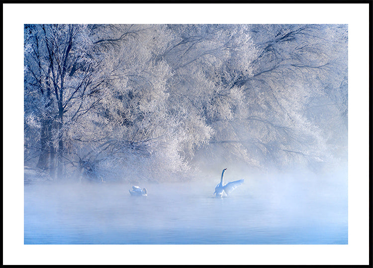 Swan Lake Poster