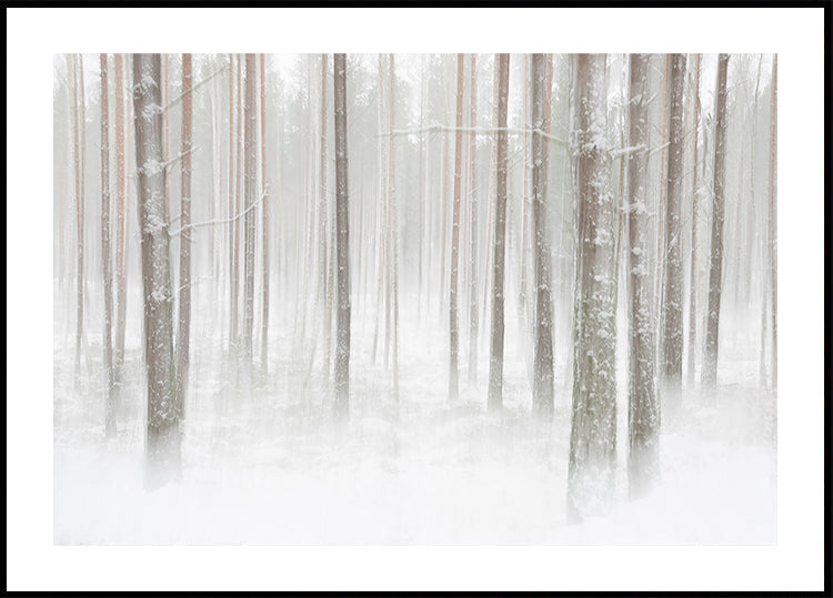 Winterforest in Sweden Poster