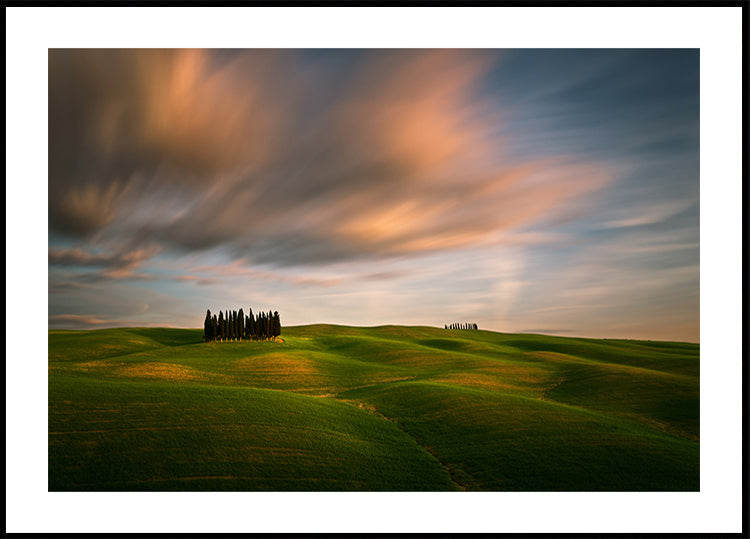 Fields...