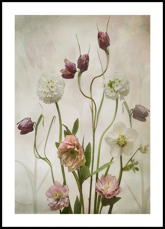 Spring Garden